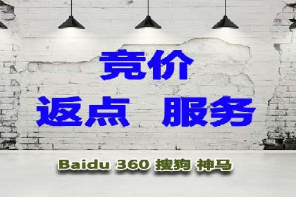 SEM主管实战：案例分析与优化策略